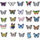 thumbnail image 5 of 50 Pcs Butterfly Stickers, Colorful Beautiful Waterproof Stickers for Laptop, Scrapbook, Window, Water Bottle, 5 of 5