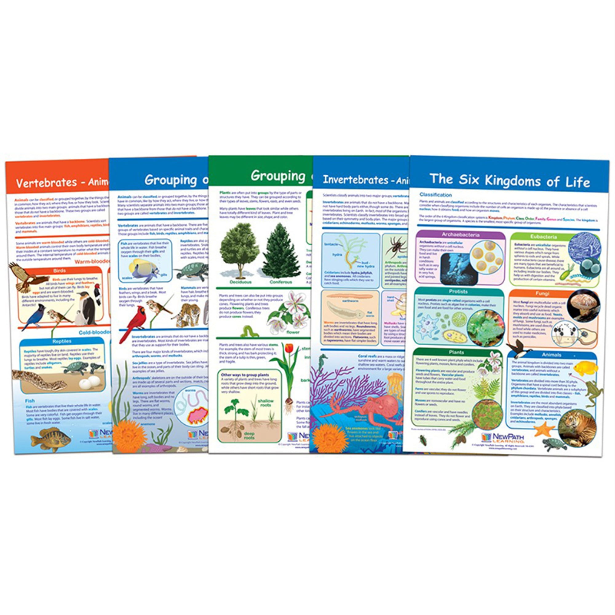 The Six Kingdoms Bulletin Board Charts, Set of 5