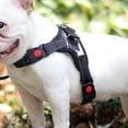 thumbnail image 4 of Methold Arnés para perros sin tirar, Collar con correa, chaleco acolchado ajustable para cachorros, talla S/M/L/XL Suministros para perros negro S, 4 of 6