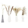 thumbnail image 1 of Hierba de la pampa, decoración de hierba de la pampa seca Flores, hierba de pampas de terciopelo para decoración de arreglos de boda, 1 of 5