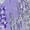 #3_Purple, variant on Sexy Hot Pants Women Summer Floral Print Shorts High Elastic Waisted Skinny Mini Short Pants Y2K 2025 Trendy Bottoms Outfits Clothing