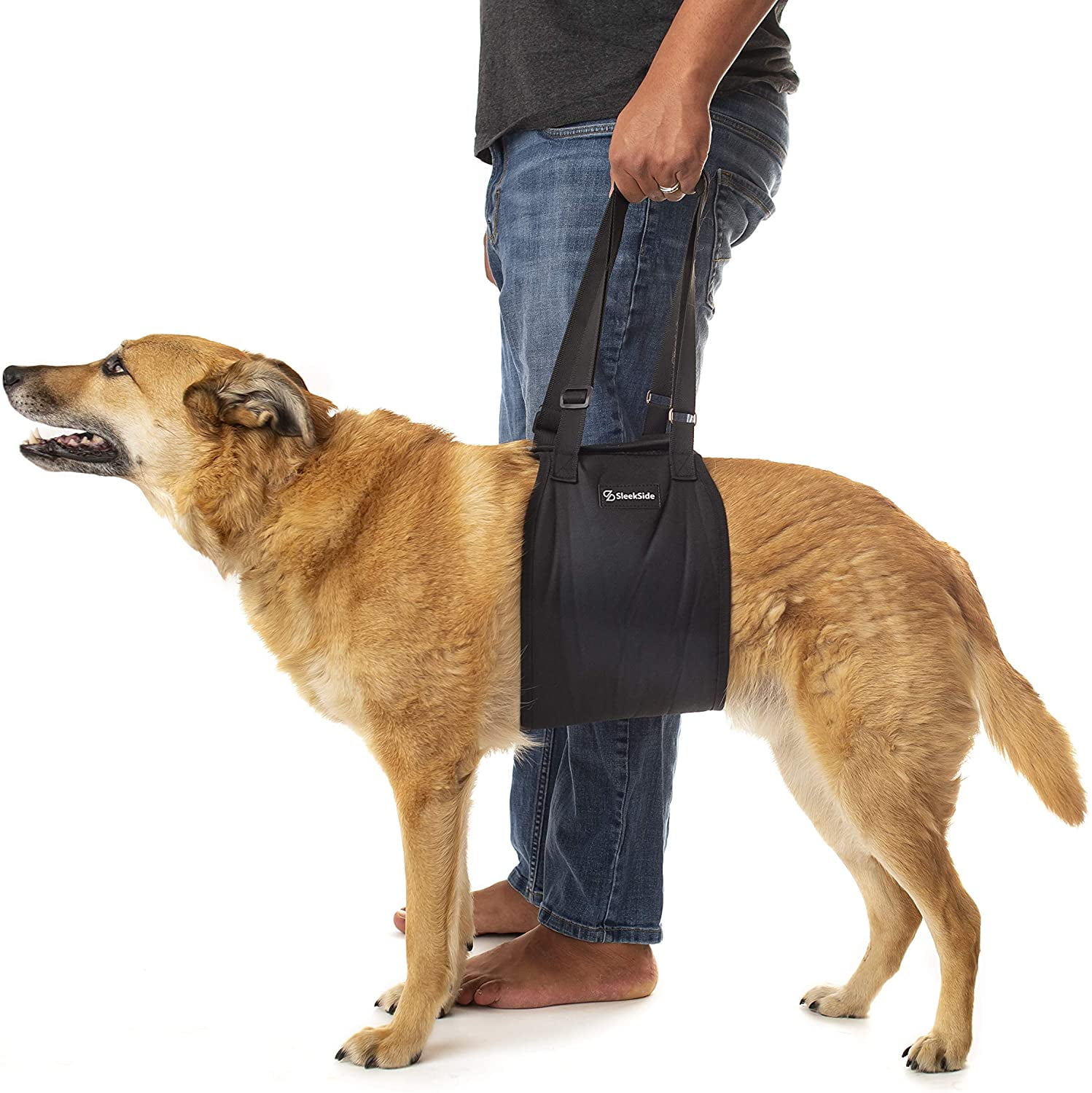 How To Help Your Dog With Back Pain