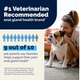 thumbnail image 5 of Vetnique Glandex for Dogs Anal Gland & Digestive Health Soft Chews, Peanut Butter Flavor, 40 Count, 5 of 14