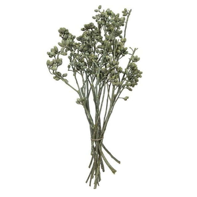 Vickerman H1EYP150 12 x 1-3 Po. Grappes d'Eucalyptus, Vert - 16 Pcs