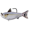 thumbnail image 2 of Gizzard Shad, 2 of 2