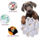 thumbnail image 5 of Juguete de rompecabezas para perros para entrenamiento de IQ y juguete alimentador de rompecabezas de comida para perros rico intelectual MFZFUKR CPB-US-CJZ663-3, 5 of 5