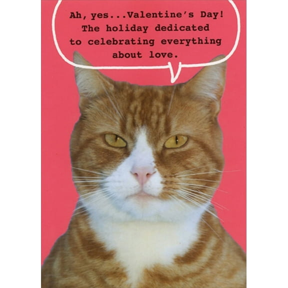 RSVP Serious Cat : Celebrating Everything About Love Humorous : Funny Valentine's Day Card