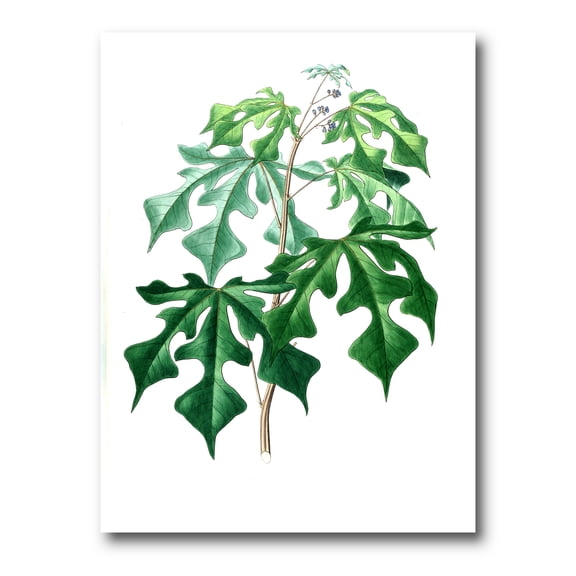 Ancient Green Leaves Plants II 12 in x 8 in Painting Canvas Art Print, by Designart
