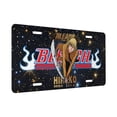thumbnail image 2 of Shinji Hirako Bleach License Plate, Car Front License Plates With 4 Holes, Metal Car Plate,Aluminum Novelty License Plate, 6 * 12 Inches, 2 of 7