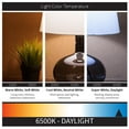 thumbnail image 4 of Sunlite - LED light bulb - shape: A19 - E26 - 9 W (equivalent 60 W) - daylight - 6500 K - white (pack of 12), 4 of 5