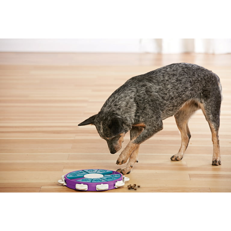 Outward Hound Twister Interactive Treat Puzzle Dog Toy, Purple