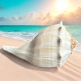 thumbnail image 2 of Giant Conch Seashell White Brown Pattern Rare Big Large Ocean Sea Shell Coastal Decor Nautical Centerpiece Decoration Beach Lovers Special Collection Gift, 2 of 6