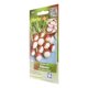 thumbnail image 2 of Semillas De Rábano Hortaflor Rojo 6 Gr, 2 of 3
