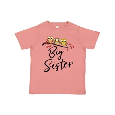 

Inktastic Owl Big Sister Gift Toddler Toddler Girl T-Shirt