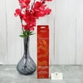 thumbnail image 7 of Hosley 120 Pack Incense Sticks + Bonus 120 Pack (Total 240) – Dragon's Blood – Perfect for Home, Meditation & Aromatherapy, 7 of 7