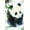 Premium Unframed Version, variant on Trends International Animal - Panda Poster