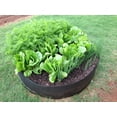 thumbnail image 3 of Smart Pot Round Raised Bed Fabric Planters, 3 of 5
