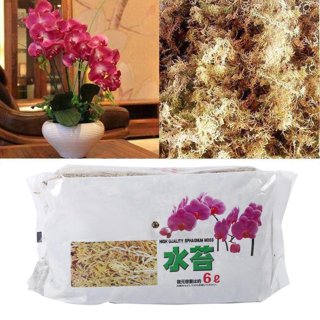 Professional Supply Garden Potted Orchid Moisturizing Sphagnum Moss - China Sphagnum  Moss and Moss price