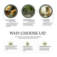 thumbnail image 7 of KARYLIZ Campfire in Forest Urn For Ashes For Men And Women, Cremation Memorial For Adults, Sky Blue Decorative Urns For Ash, Burial And Funeral Urn For Parents, 1 Large 10 Inch & 4 Mini 3 Inch Urn, 7 of 7