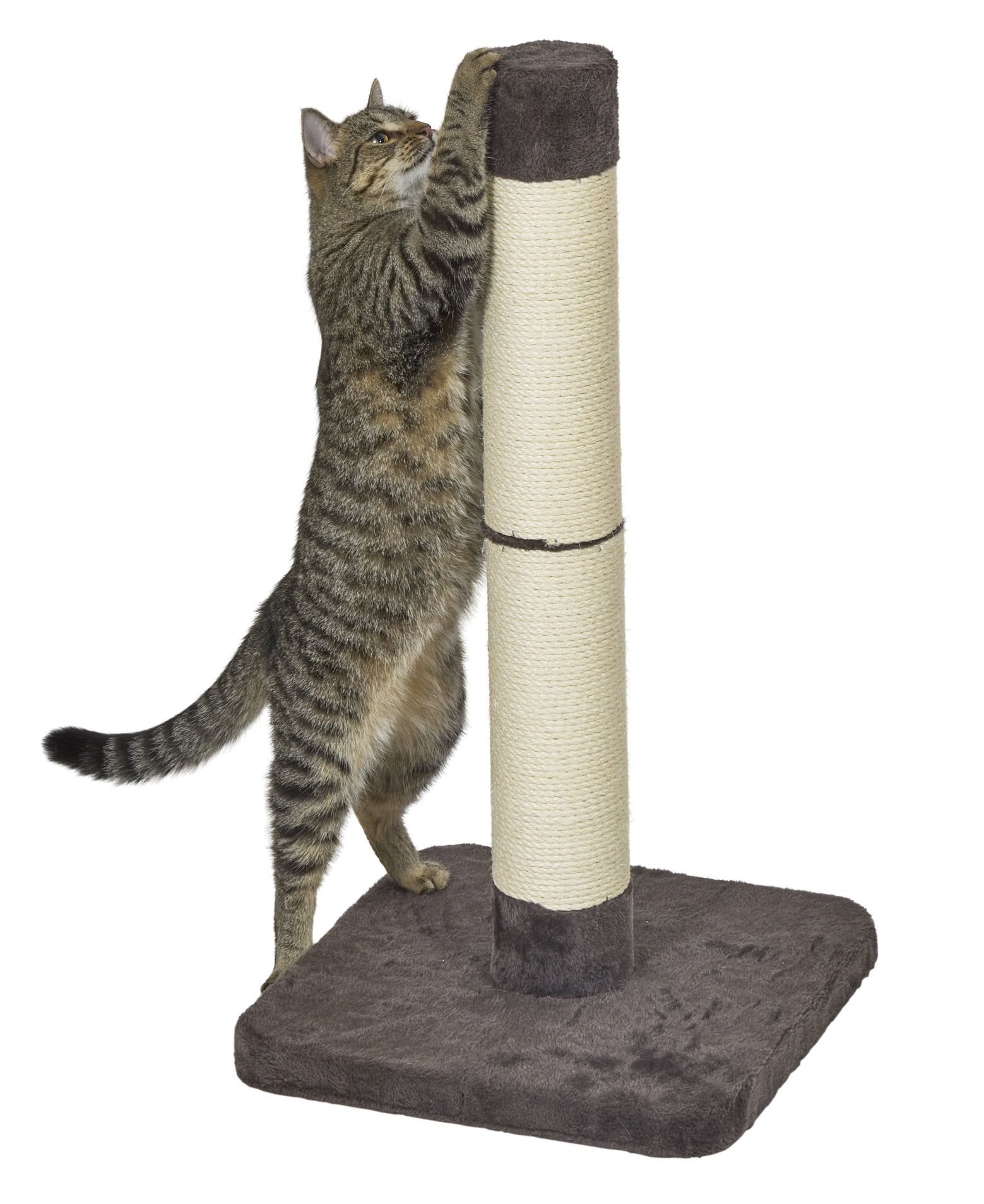 MidWest Homes for Pets Feline Nuvo Medium Forte Cat Scratching Post - Brio, 31-Inch Height
