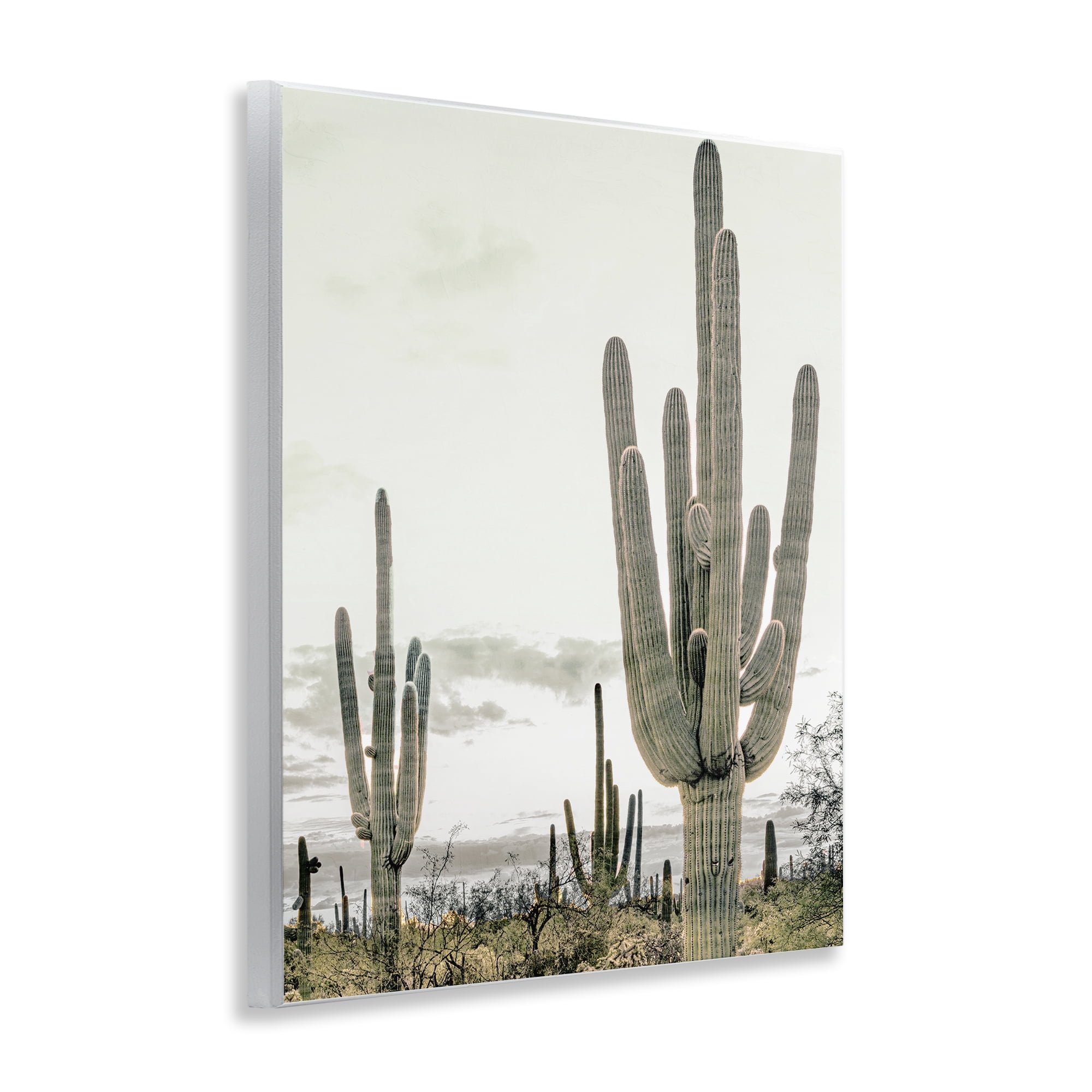 Stupell Industries Subdued Desert Cacti Wall Plaque Art, design by Kim Allen