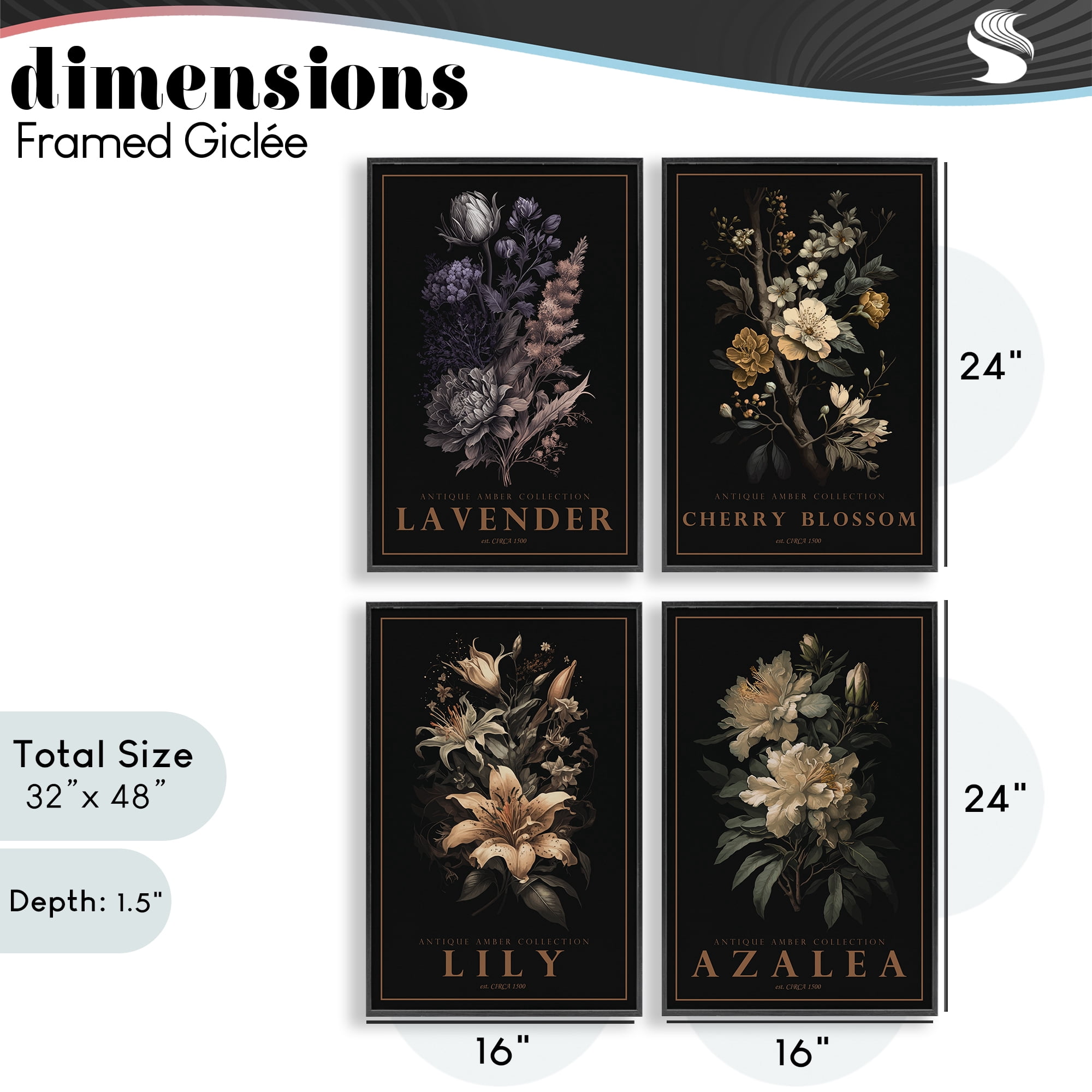 Stupell Industries Antique Varied Botanical Blooms 4 Piece Black Framed Giclee Art Set, design by Chris Giampietro