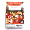 thumbnail image 1 of Scentsationals Automne 2019 Édition Limitée Cubes de Cire Parfumée, 2,5 OZ (Bas vers le Haut), 1 of 3