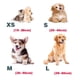 thumbnail image 4 of Collar de perro con lazo, collar de perro con lazo, collar ajustable para perro pequeño, mediano, grande, 4 of 5