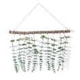 thumbnail image 3 of JTWEB Decoración de Pared de Eucalipto Artificial - Colgar en la Pared Eucalipto Verde Da a Cualquier Habitación un Toque Natural, Moderno y Moderno - Decoraciones Boho para Recámara, Decoración de P, 3 of 11