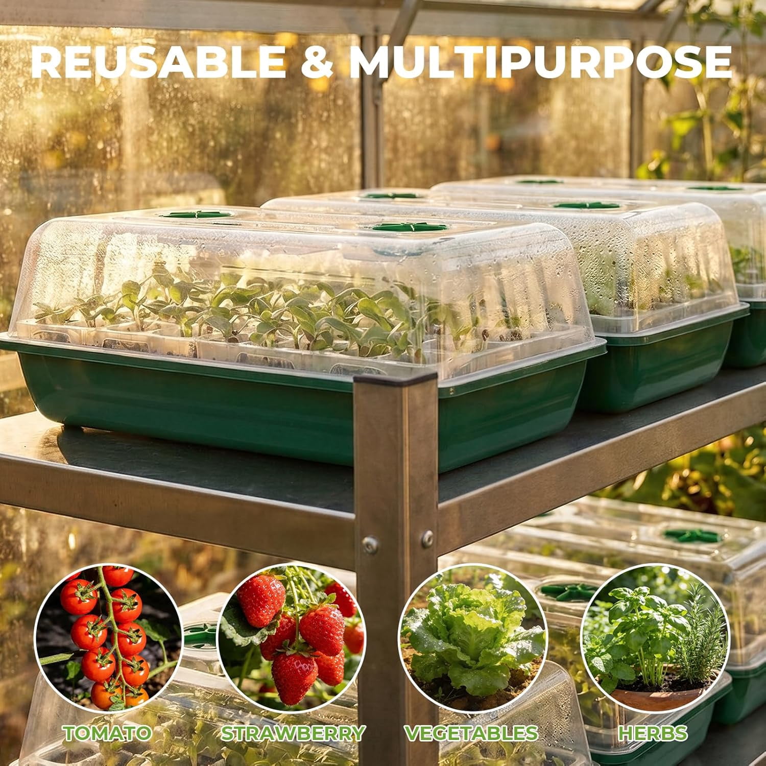 40 Cell Seed Starter Tray Kits, Reusable Plant Germination Trays, Easy Transplanting, with Humidity Domes and Bases, for Starting Vegetable, Flower & Herb Seeds, Indoor Gardening, Greenhouse