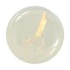 thumbnail image 2 of Jabón de Aceite Hidratante Artesanal de 100 G para Limpieza Facial y Corporal | Ingredientes Naturales | Piel Fresca y Renovada | Jabón de Baño, 2 of 7