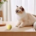 thumbnail image 3 of Wmool Automatic Rolling Cats Ball Interactive Smart Toys Electric Kitten Training BEST, 3 of 9