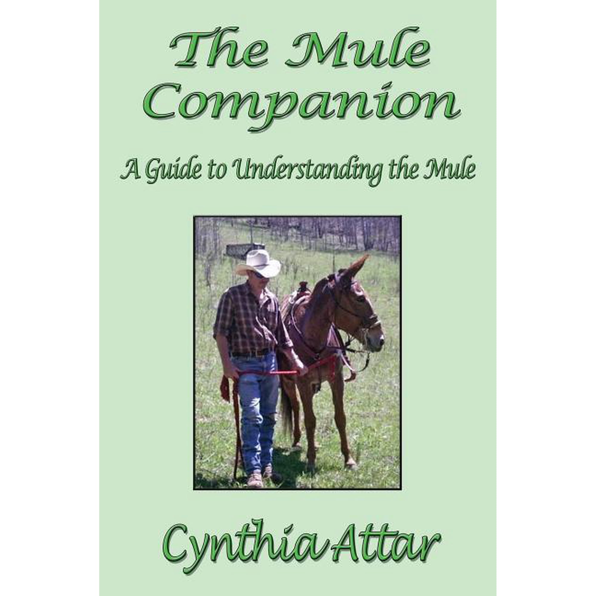 The Mule Companion: A Guide to Understanding the Mule