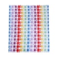 thumbnail image 4 of Way to Celebrate Josephine Plaid Throw, 50x60 inches, 100% Polyester, 4 of 6