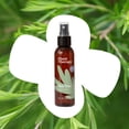 thumbnail image 3 of Plant Therapy Tea Tree (Melaleuca) Hydrosol 4 oz by-Product of Essential Oils, 3 of 8
