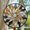 Black White Gold, variant on Ornament Window Hanging, Golden Landscape Dusk Sunset Suncatcher for Doors Window Home Cactus Sun Catchers Decoration Mother's Day Birthday Gifts for Women, Men, and Mom, 2025,
