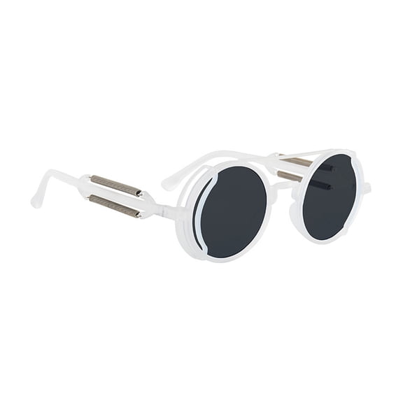 Plastic Frame Polarized Sunglasses Vintage Steampunk Round Glasses Colored Lenses Outdoor Eyewear for Men Women