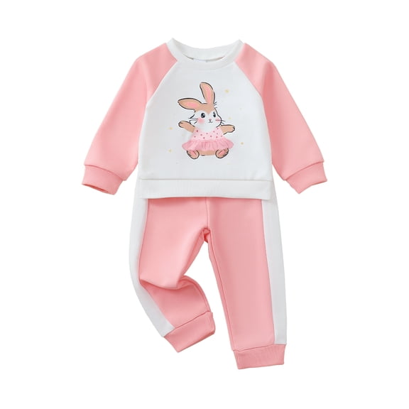 3T Baby Girls Clothes 4T Girls 2PCS Fall Winter Outfits Set Rabbit Print Toddler Girls Long Sleeve Top Pants Set Pink