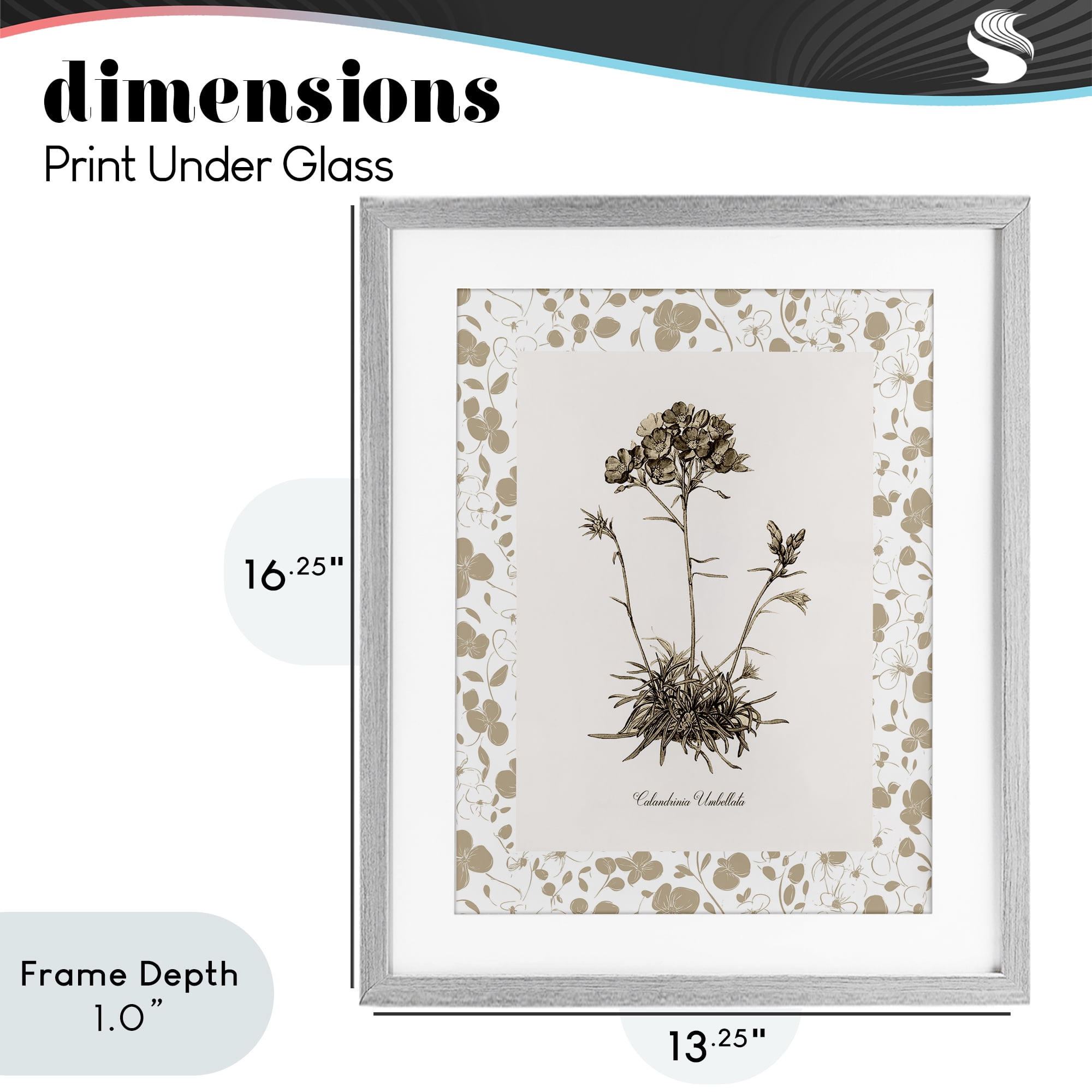 Stupell Industries Neutral Imperial Flower & Herb Gray Framed Print Under Glass, design by Kelly Donovan