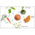 thumbnail image 2 of Tratamiento facial Raya Pumpkin Enzyme Puree Suave Exfoliante, 2 of 9