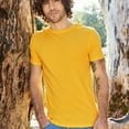 thumbnail image 2 of Ecologie Mens Cascades T-Shirt, 2 of 4