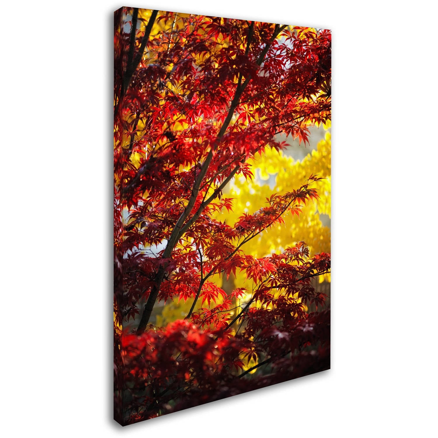 Trademark Fine Art "I Believe" Canvas Art by Philippe Sainte-Laudy