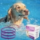 thumbnail image 5 of Cat Collar, Calming Collar for Dogs, Adjustable Pheromones for Cats Il Calmo Pacifica Il Catino, Il Ai Pheromone for Dog Collar (3 pieces), 5 of 5