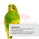 thumbnail image 5 of Aliento Kaytee periquito austriliano forti diet pro health 907 gr. Kaytee Kaytee Alimentos ave, 5 of 5