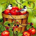 thumbnail image 1 of Wdftyju Kits de pintura de diamante 5D DIY Cuadro de mosaico de pájaro de taladro redondo completo (X787) Wdftyju 7ws3dw1bb1yb0ll2D02, 1 of 9