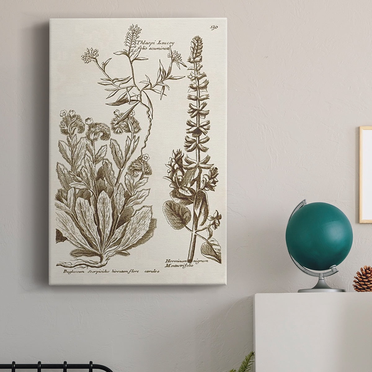 Sepia Botanical Journal IV Premium Gallery Wrapped Canvas - Ready to Hang