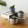 thumbnail image 3 of [CLEARANCE sales]Succulent Flower Pot Ceramic Flower Pot Succulent Flower Pot Set With Bamboo Desktop Stand, 3 of 6