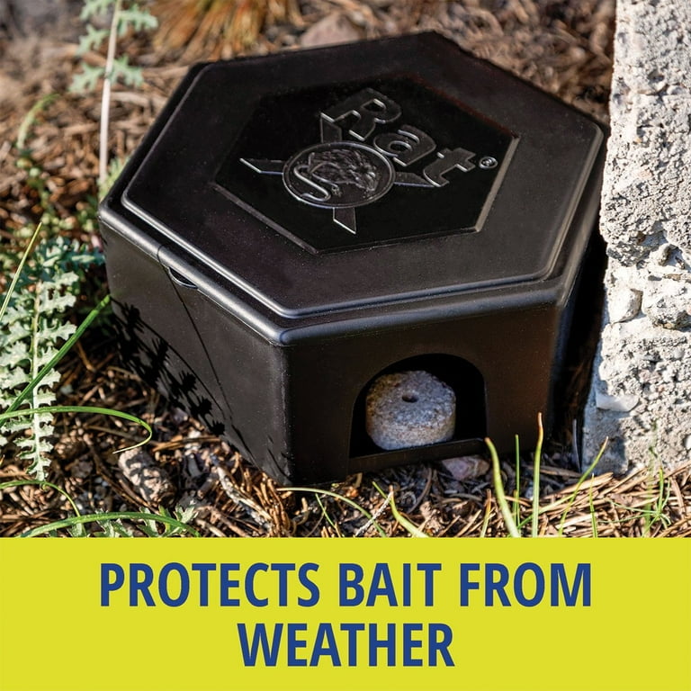 RatX Bait Discs and Box Combo, 1 lb, Holds 6 Discs, Suitable for