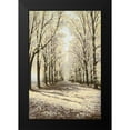 thumbnail image 2 of Nawrocke, Bruce 11x14 Black Modern Framed Museum Art Print Titled - Winter Cathedral Vertical, 2 of 5