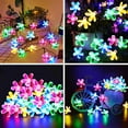 thumbnail image 4 of TiokMc Solar-Powered Fairy Blossom Flower String Lights, 22.96ft 50 LED, Multi-Color, Outdoor Garden, Patio, Lawn, Christmas Decoration - 2 Pack, 4 of 8